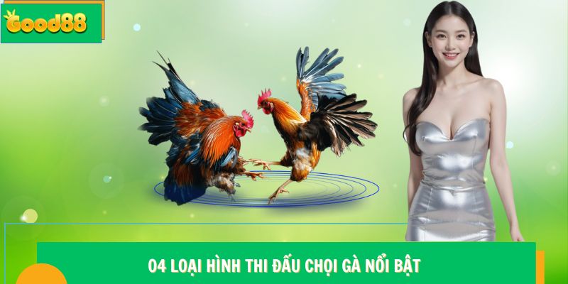 Đá gà Good88 - Đấu Trường Chọi Kê Trực Tuyến Đẳng Cấp 6 04 loại hình thi đấu chọi gà nổi bật tại Good88