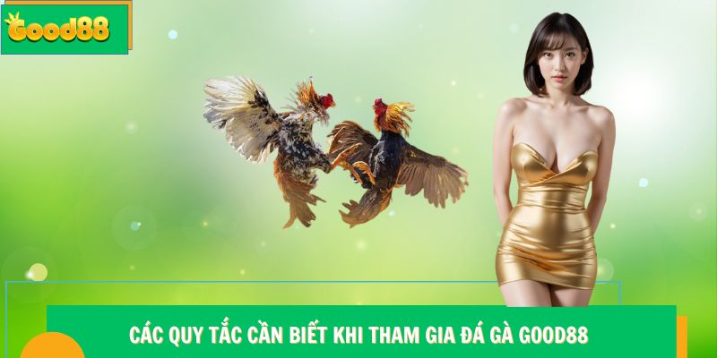 Đá gà Good88 - Đấu Trường Chọi Kê Trực Tuyến Đẳng Cấp 7 Các quy tắc cần biết khi tham gia đá gà Good88